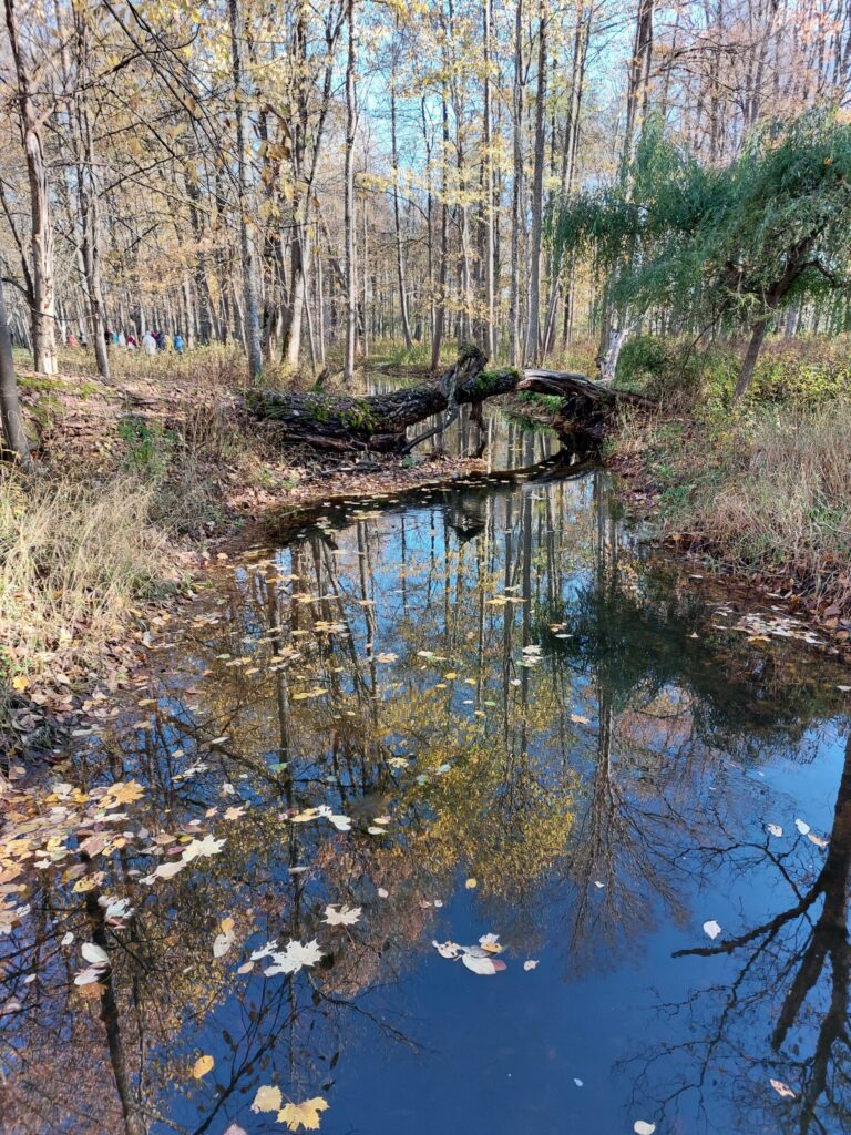 Autors: Foto: Pārsla Konrāde