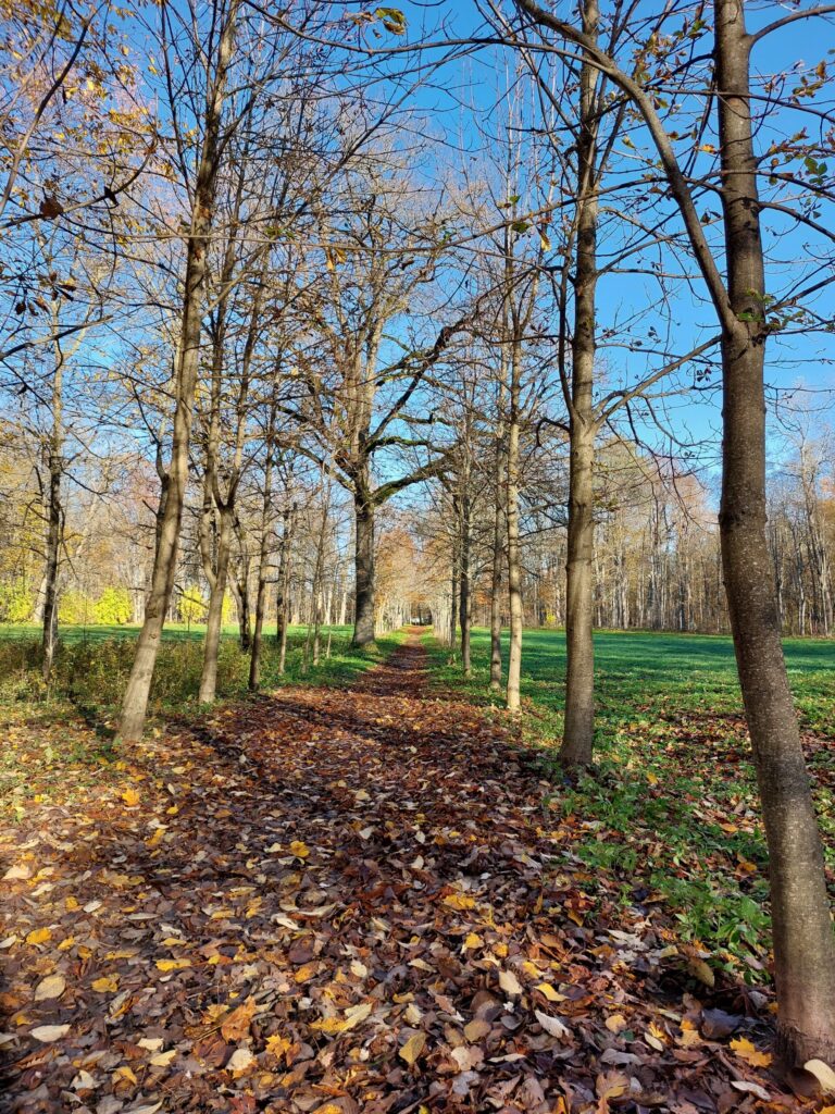 Autors: Foto: Pārsla Konrāde