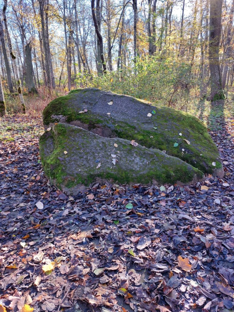 Autors: Foto: Pārsla Konrāde