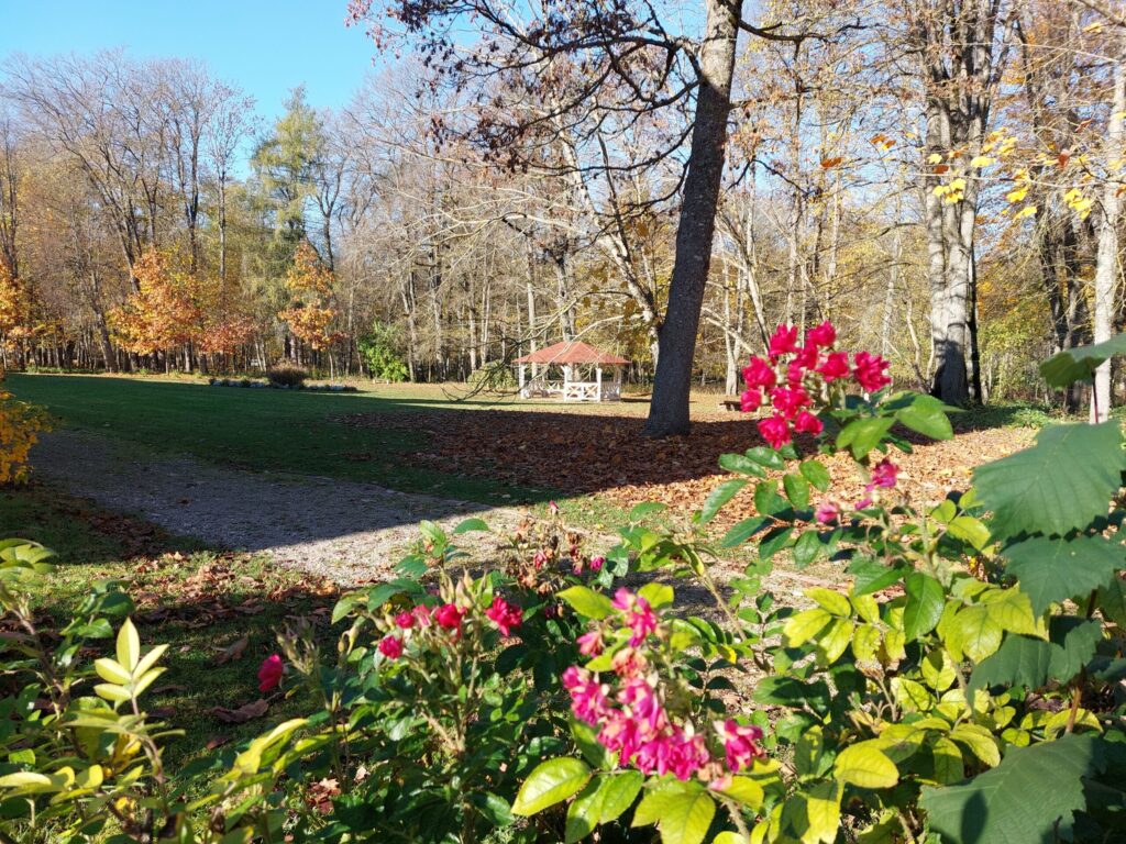 Autors: Foto: Pārsla Konrāde