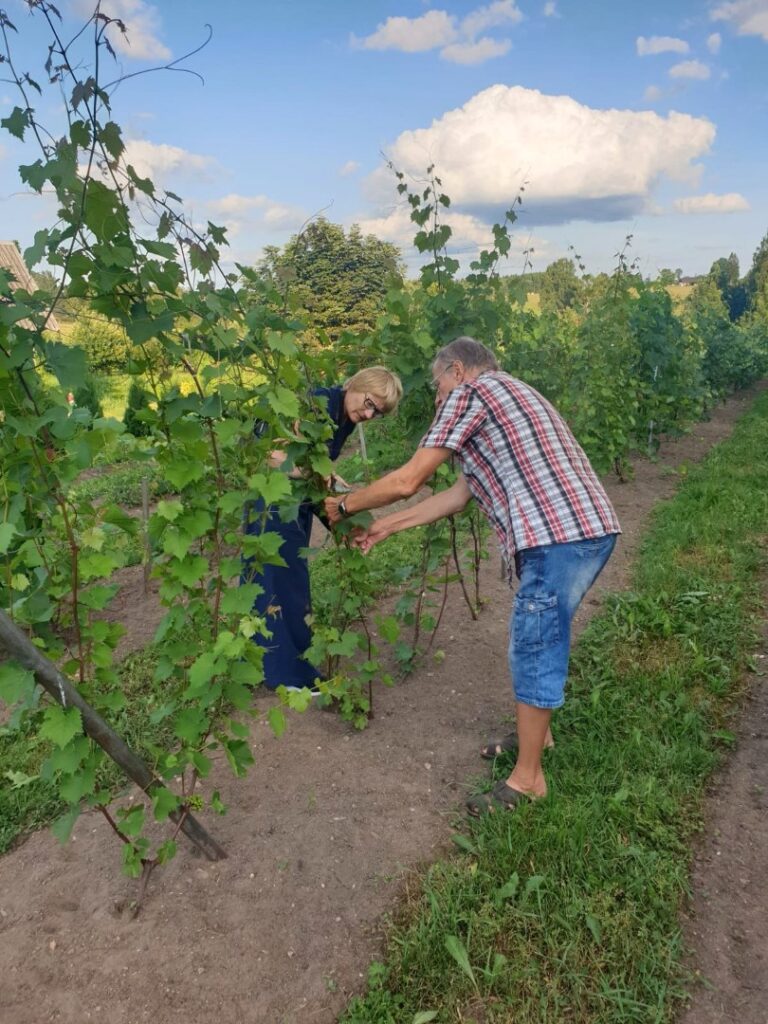 "Vecpāpani" Rankā.