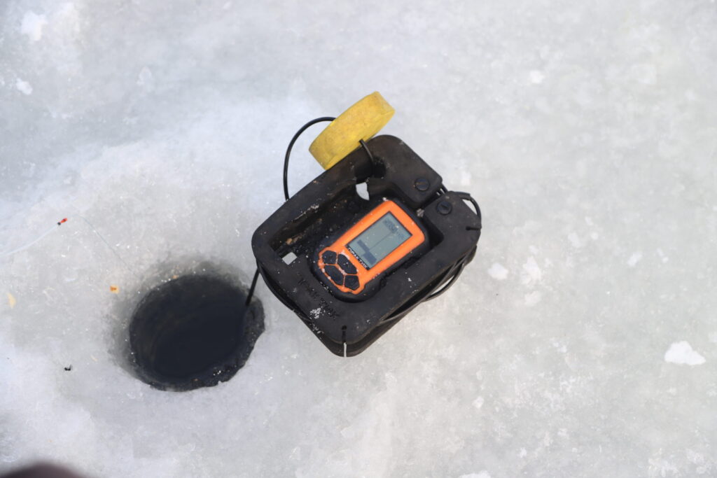 Autors: Foto: Gatis Bogdanovs