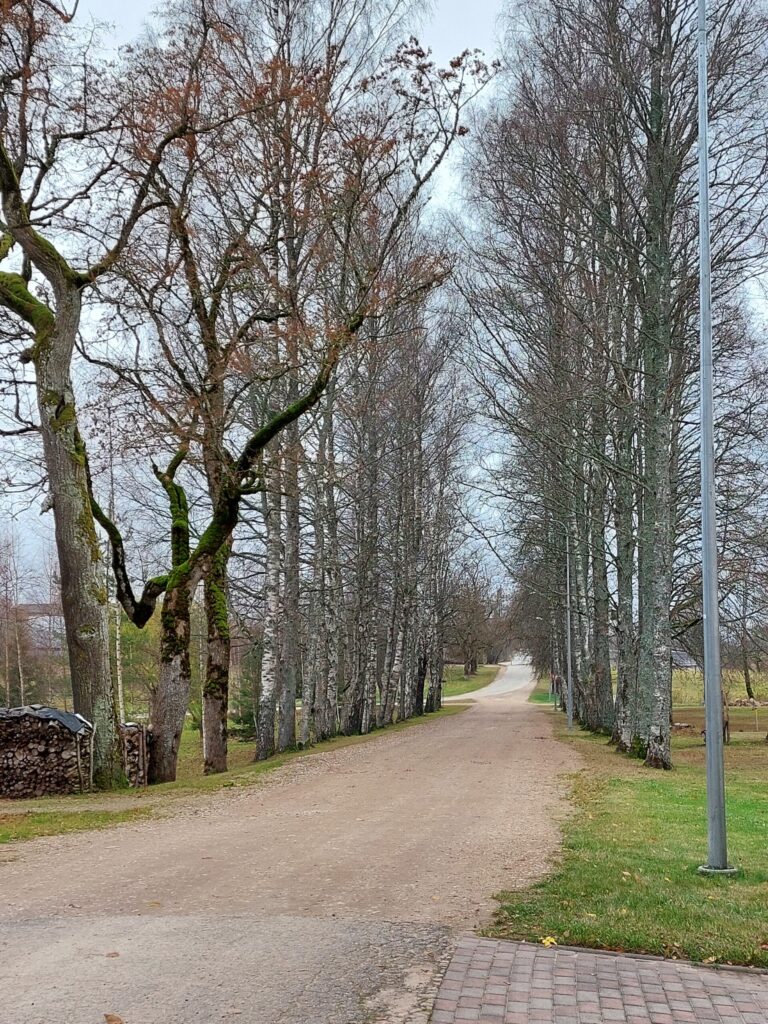 Velna ceļš.
Autors: Foto: Pārsla Konrāde