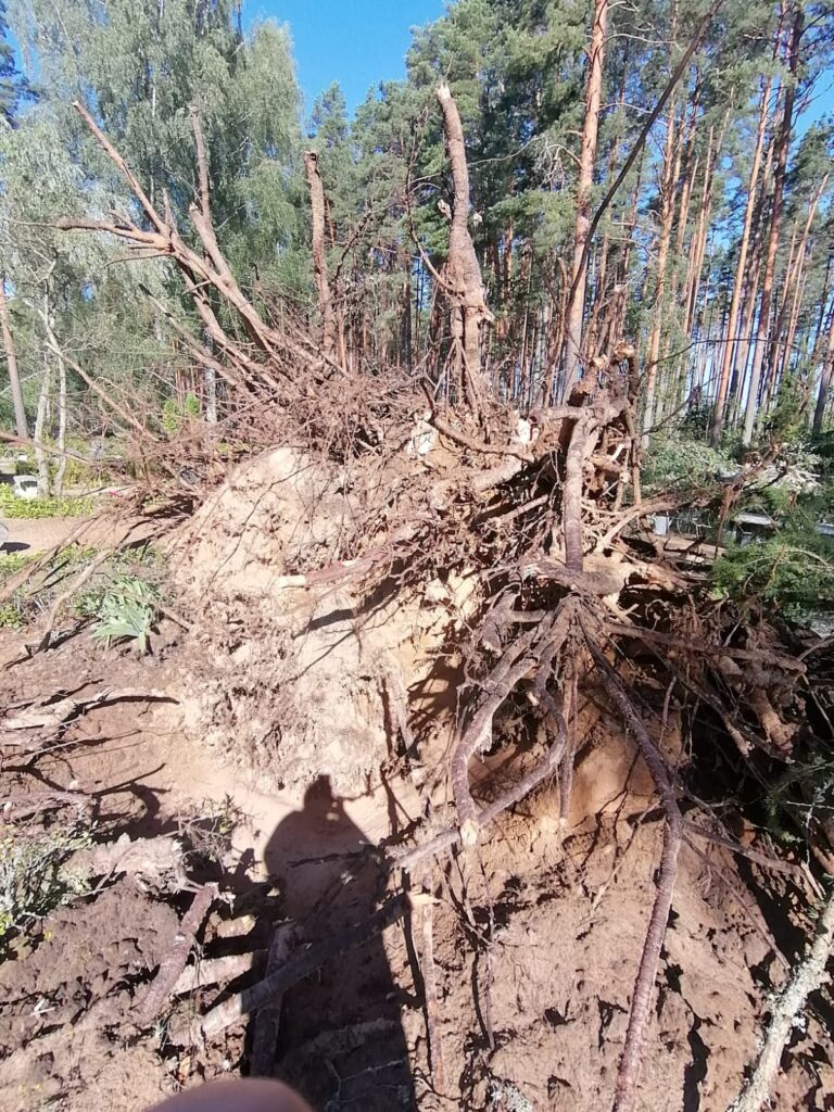 Lizuma Sila kapi.
Autors: Foto: no privātā arhīva