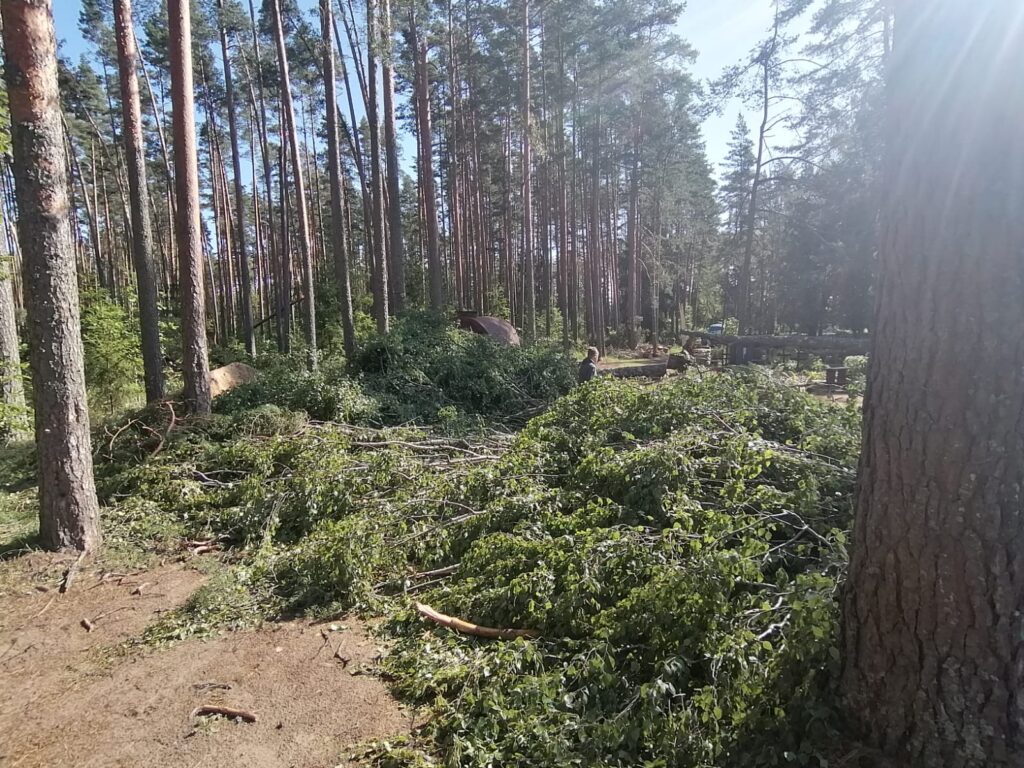 Lizuma Sila kapi.
Autors: Foto: no privātā arhīva