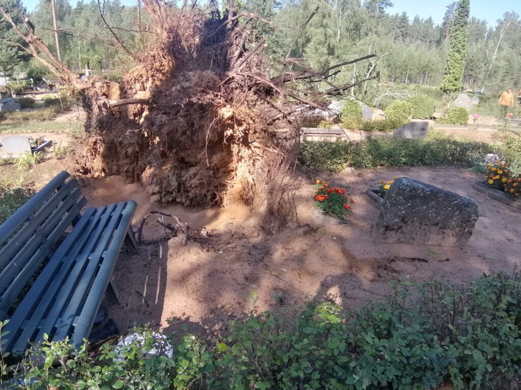 Lizuma Sila kapi.
Autors: Foto: no privātā arhīva