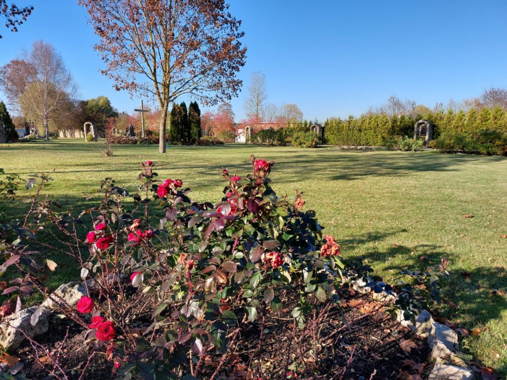 Autors: Foto: Pārsla Konrāde