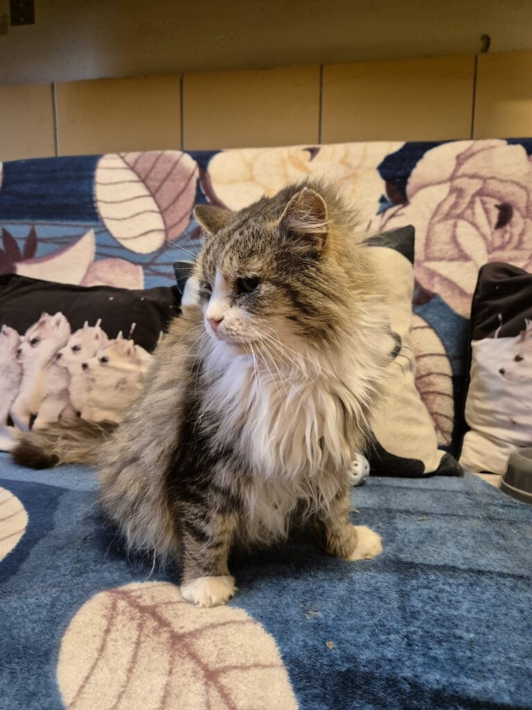 Autors: FOTO: NO VALĒRIJAS STĪBELES ARHĪVA