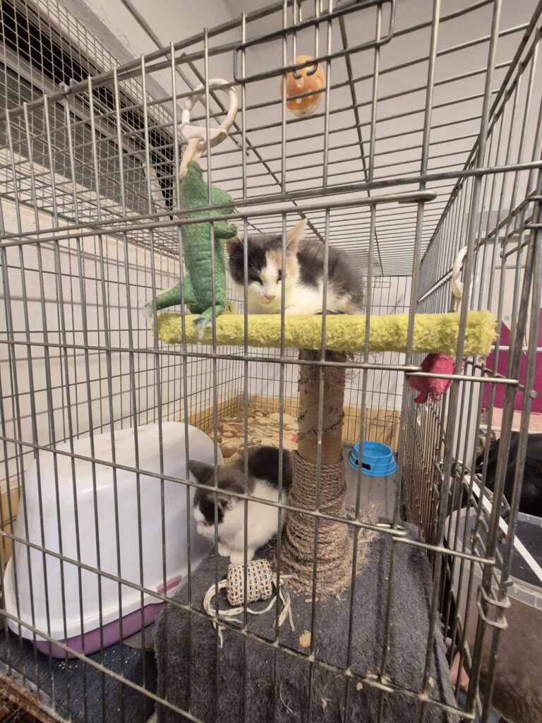 Autors: FOTO: NO VALĒRIJAS STĪBELES ARHĪVA