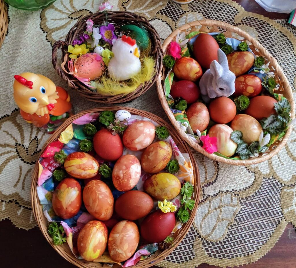 Autors: Foto: Zigrīda Krastiņa