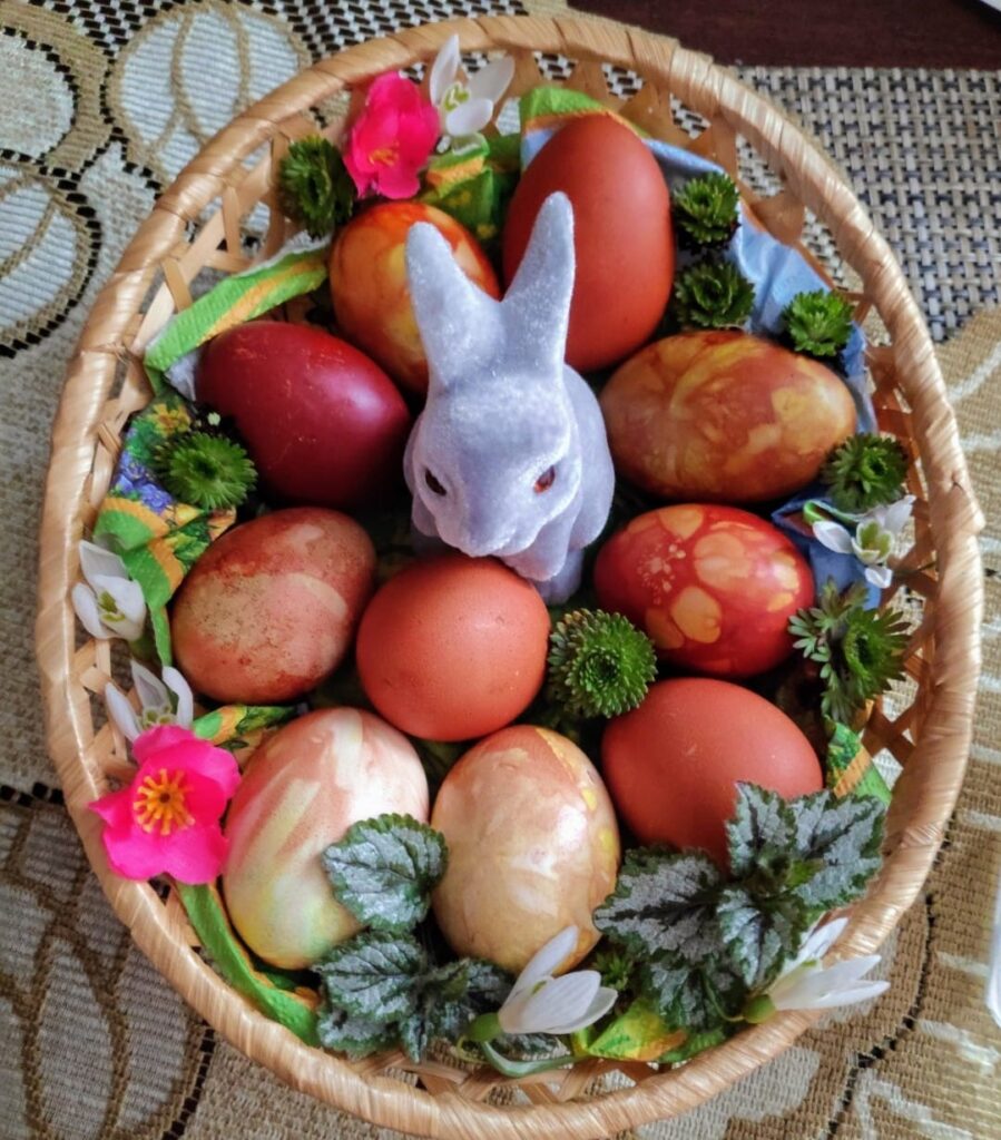 Autors: Foto: Zigrīda Krastiņa