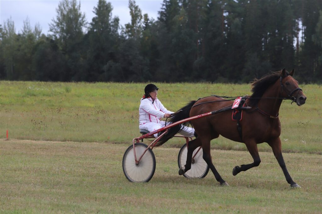 Autors: Foto: Gatis Bogdanovs