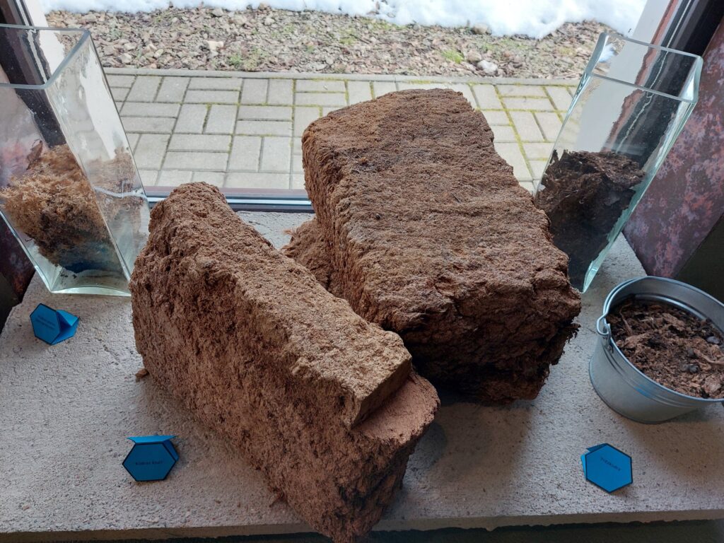 Autors: Foto: Pārsla Konrāde