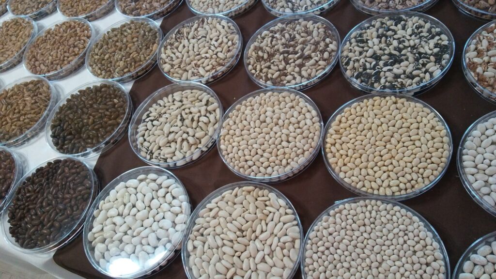 Autors: foto: Pārsla Konrāde