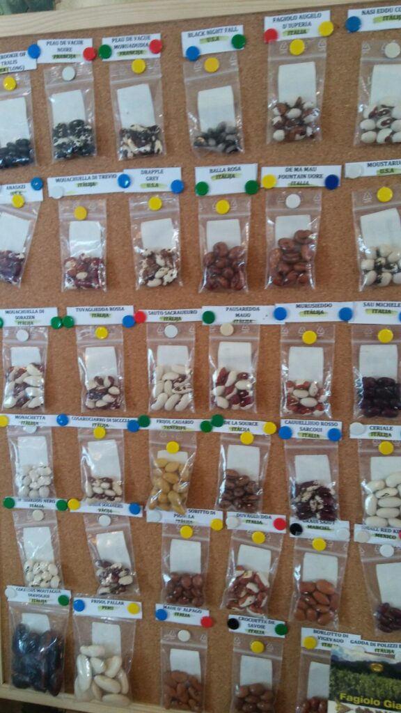 Autors: foto: Pārsla Konrāde