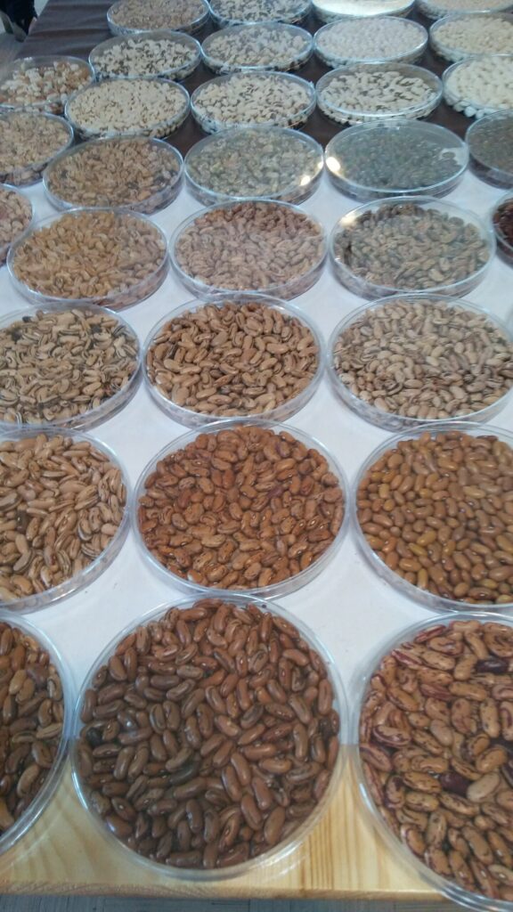 Autors: foto: Pārsla Konrāde