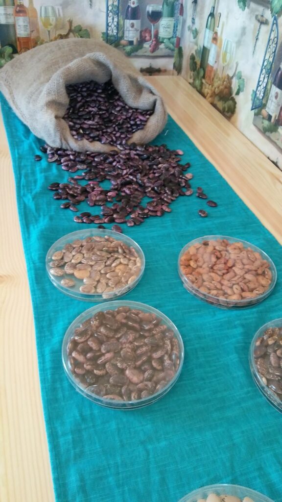 Autors: foto: Pārsla Konrāde