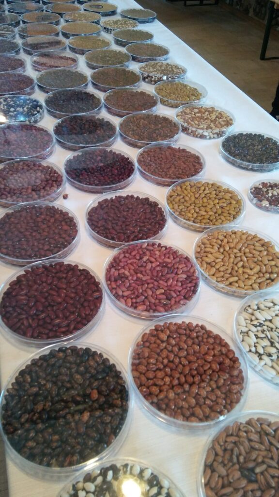 Autors: foto: Pārsla Konrāde