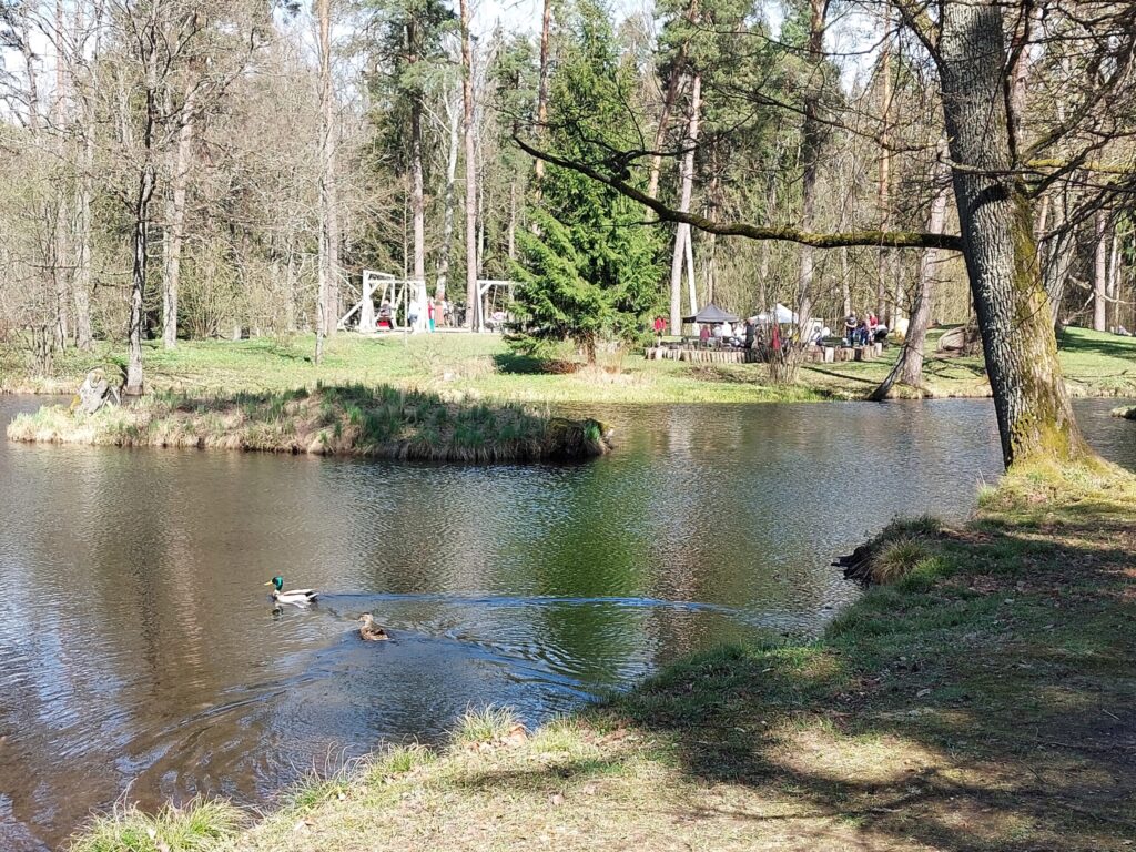 Autors: Foto: Pārsla Konrāde