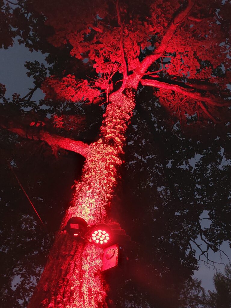 Autors: Foto: Pārsla Konrāde