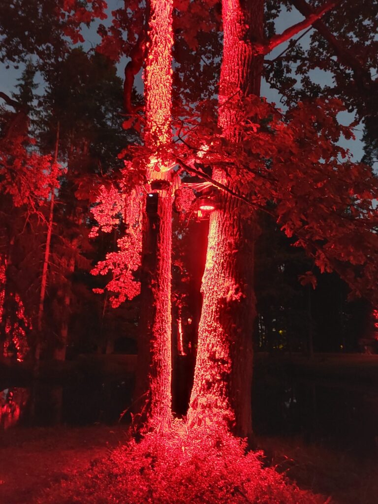 Autors: Foto: Pārsla Konrāde