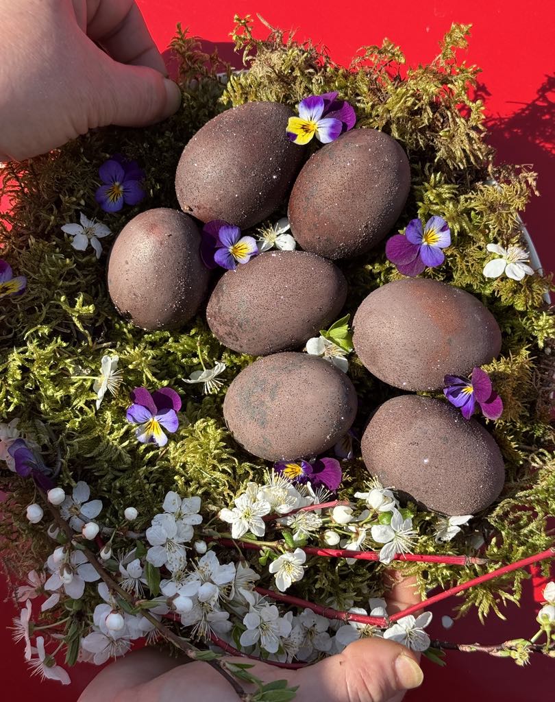 Autors: Foto iesūtījusi Dace Bariņa