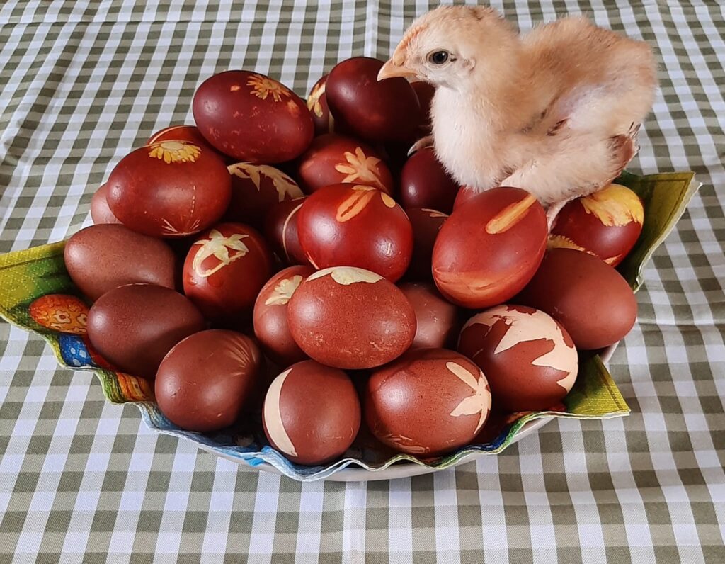 Autors: Foto iesūtījis Valtis Krauklis