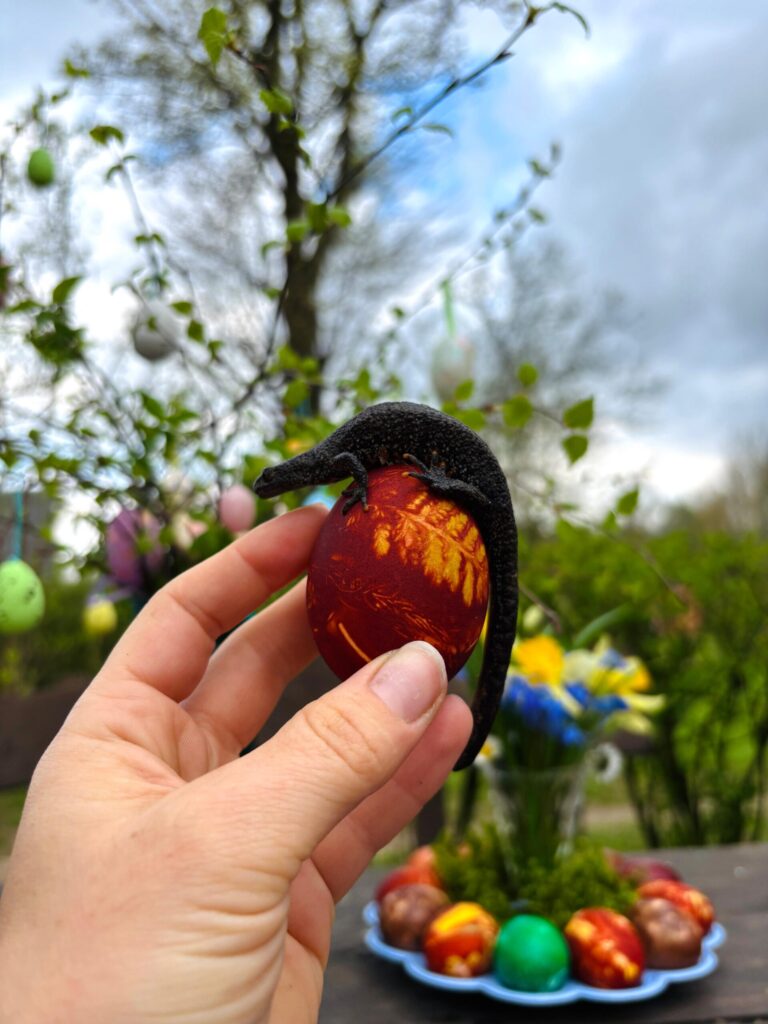 Autors: Foto iesūtījusi Irita Bačka