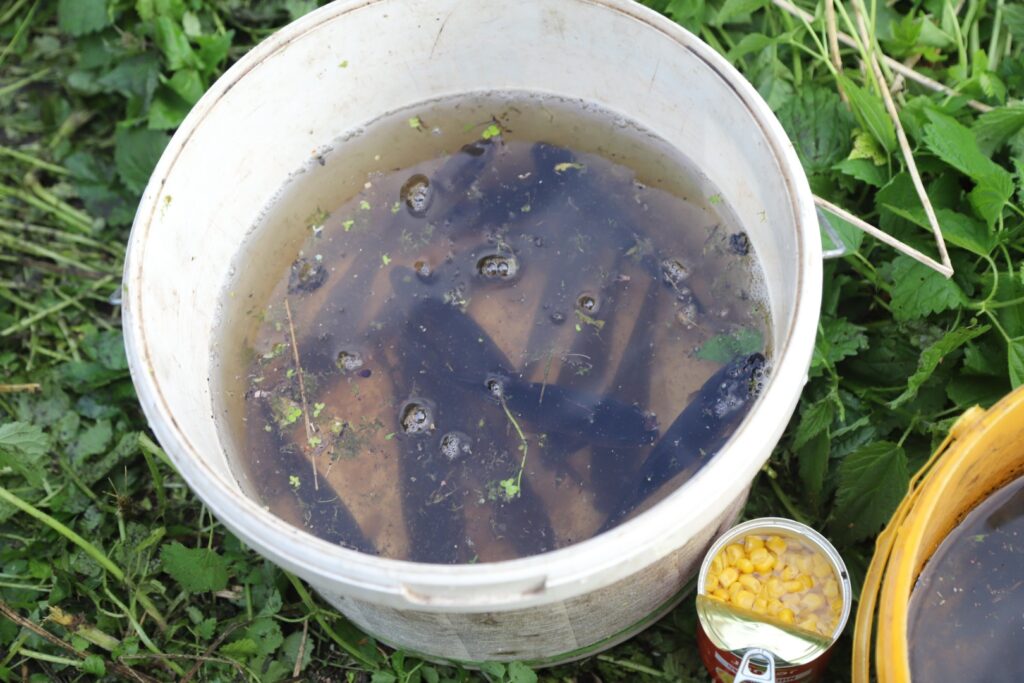 Autors: Foto: Gatis Bogdanovs