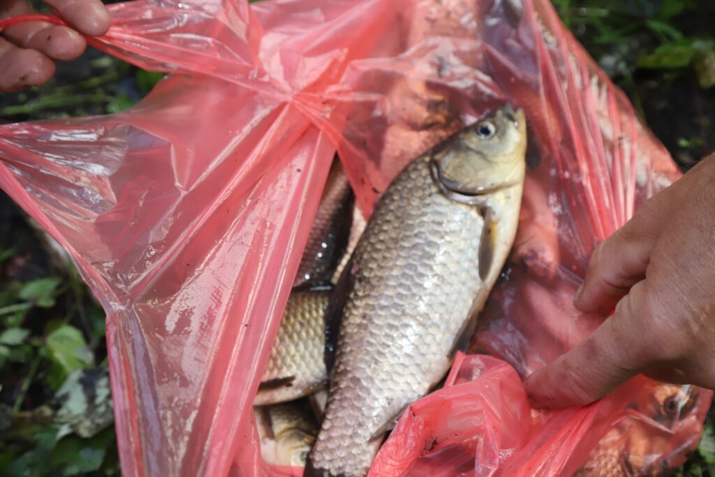 Autors: Foto: Gatis Bogdanovs