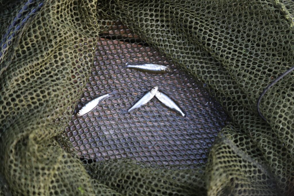 Autors: Foto: Gatis Bogdanovs