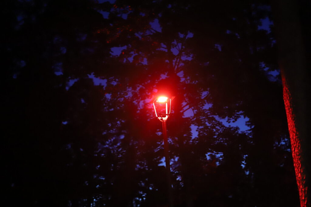 Autors: Foto: Gatis Bogdanovs