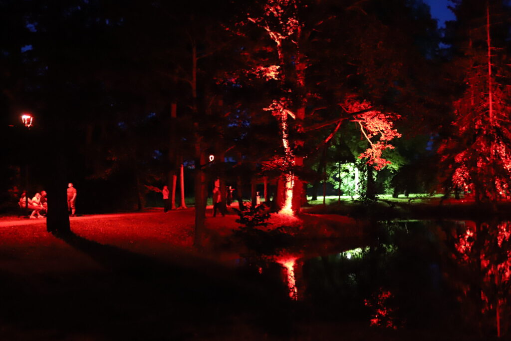 Autors: Foto: Gatis Bogdanovs