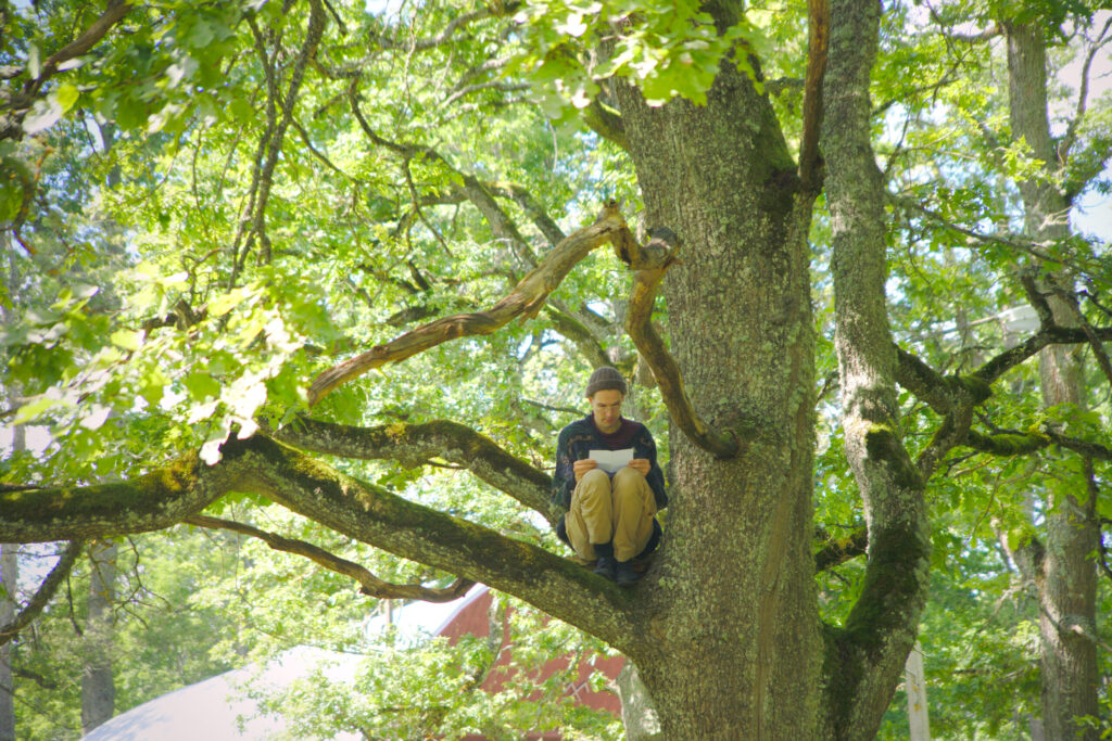 Autors: Foto: no biedrības “tabureTE” arhīva