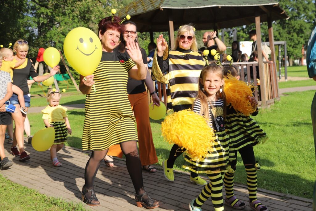 Aluksniesiem.lv raksta attēla aizvietotājs