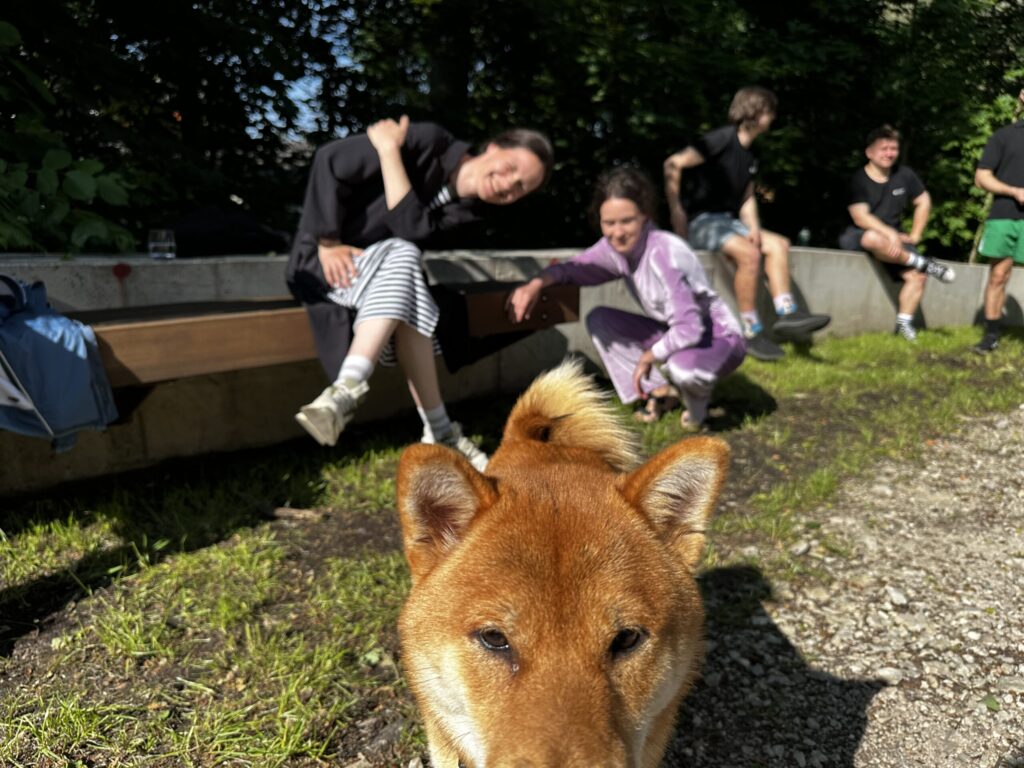 Autors: Publicitātes foto