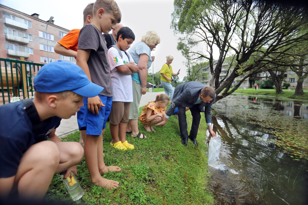Aluksniesiem.lv raksta attēla aizvietotājs