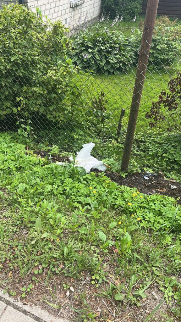 Aluksniesiem.lv raksta attēla aizvietotājs