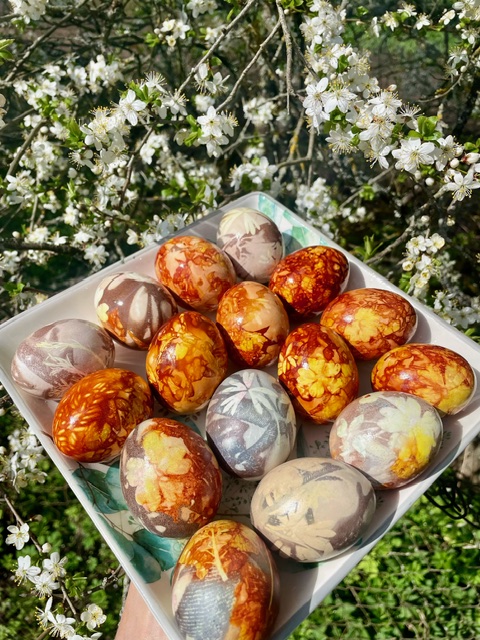 Autors: Foto iesūtījusi Zanda Kupce