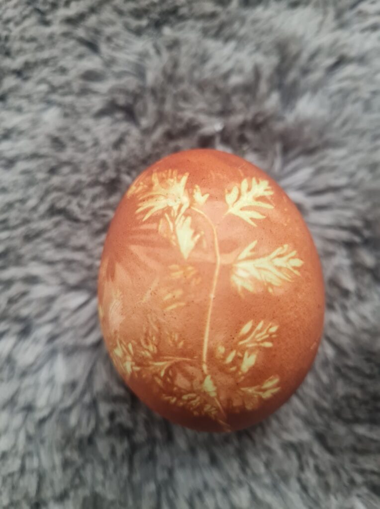 Autors: Foto iesūtījusi Inonanta Millere