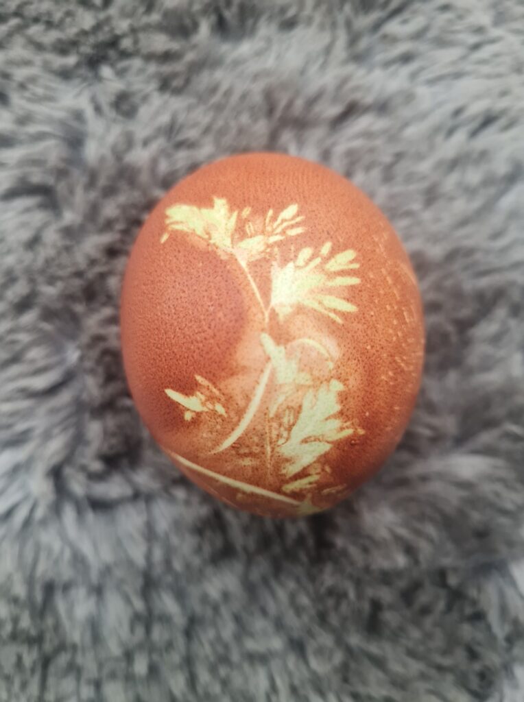 Autors: Foto iesūtījusi Inonanta Millere