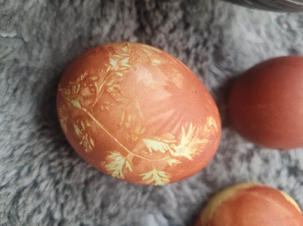 Autors: Foto iesūtījusi Inonanta Millere