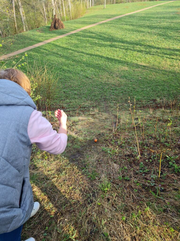 Autors: Foto iesūtījusi Inonanta Millere