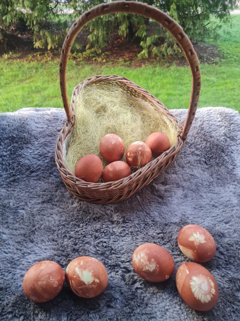 Autors: Foto iesūtījusi Inonanta Millere