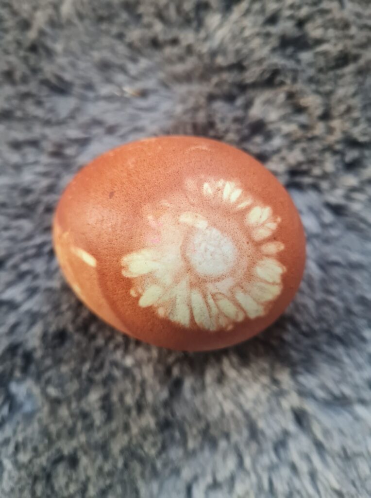 Autors: Foto iesūtījusi Inonanta Millere