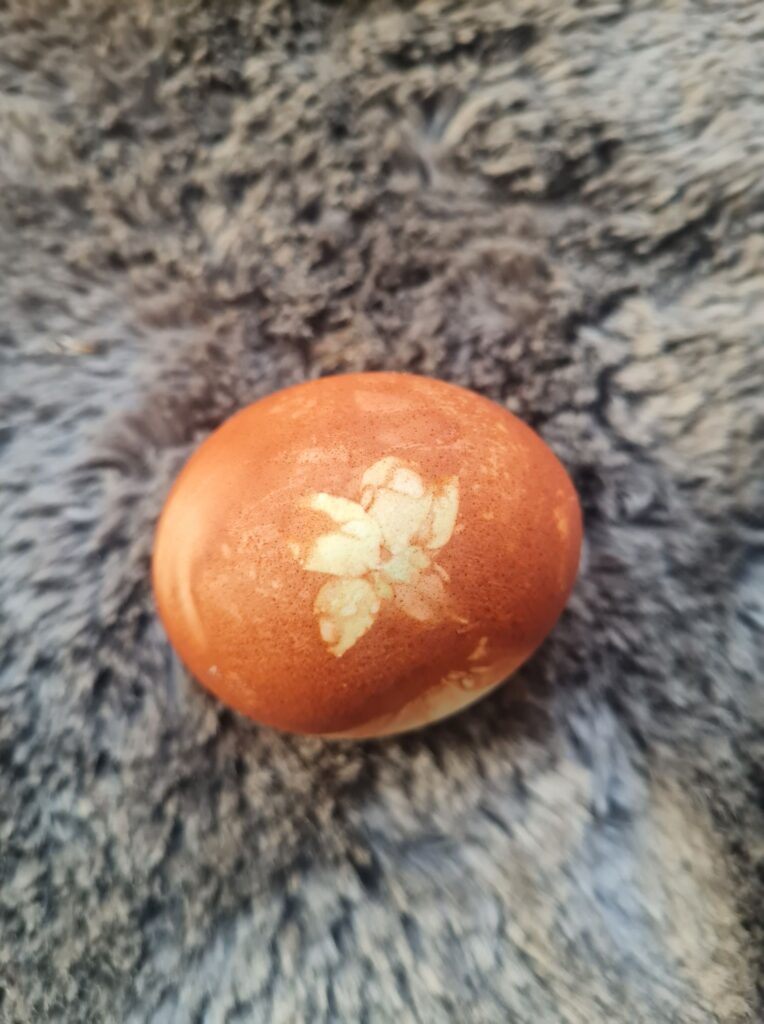 Autors: Foto iesūtījusi Inonanta Millere