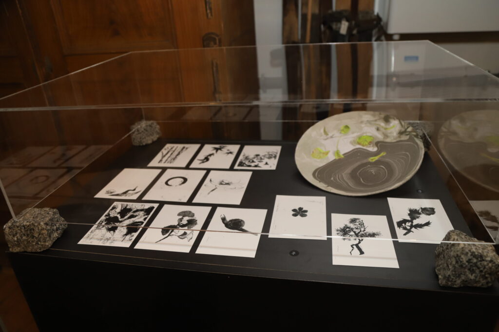 Autors: Foto: Gatis Bogdanovs