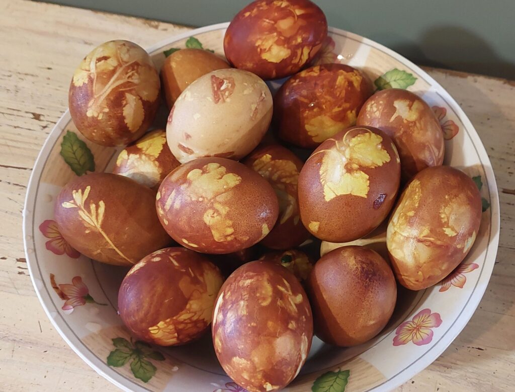 Autors: Foto iesūtījusi Jana Saleniece