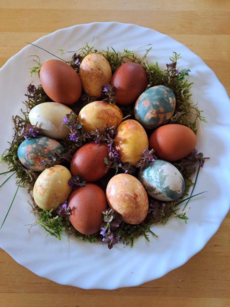 Autors: Foto iesūtījis Jānis Grasis