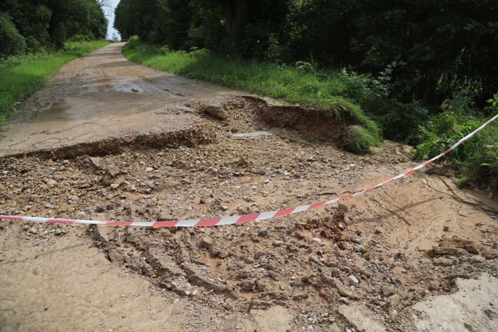 Autors: Foto: Gatis Bogdanovs